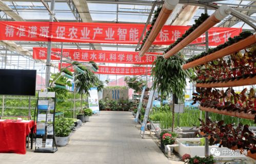 加快工廠化循環水養殖裝備技術創新，助推水產養殖綠色高效發展