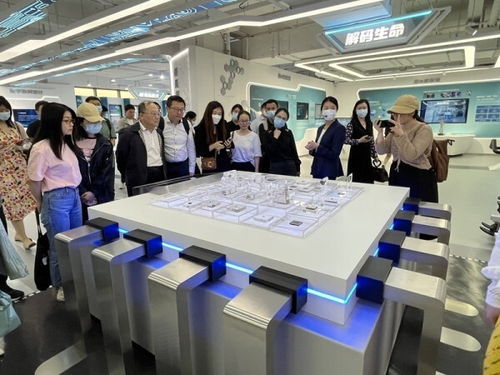 數(shù)字化成就點(diǎn)亮創(chuàng)新之路 上海市網(wǎng)絡(luò)文化協(xié)會(huì)參觀上海城市數(shù)字化轉(zhuǎn)型體驗(yàn)館